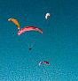Parapentes dans le thermique